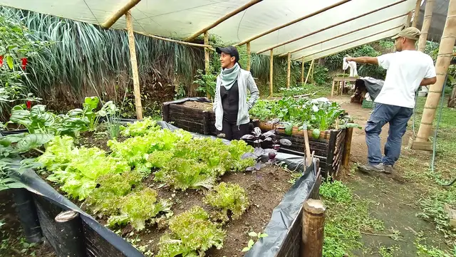 Un mundo de orquídeas · foto 5