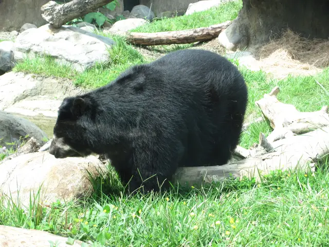 Bioparque Ukumarí · foto 4