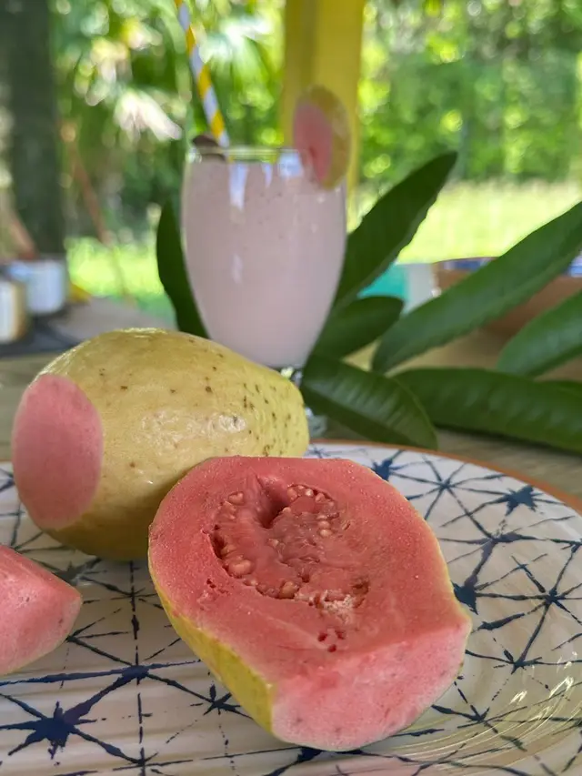 Tour de las Frutas (piña, guayaba o cítricos) · foto 7