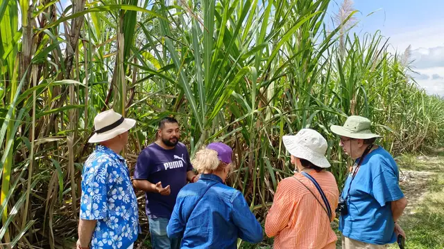 Tour de Caña y trapiche · foto 3