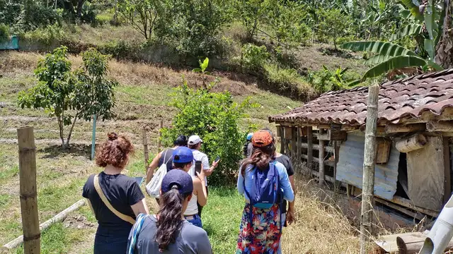 Tour de las Abejas · foto 4