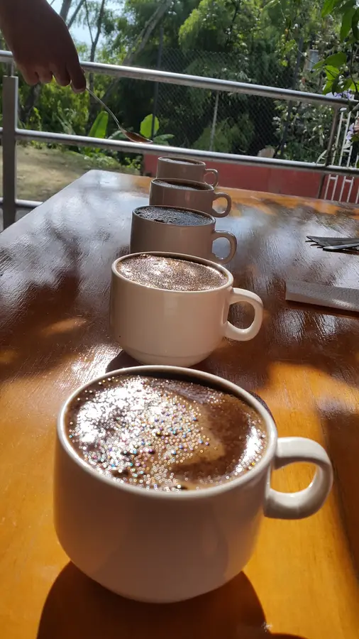 Cata de café especial · foto 2