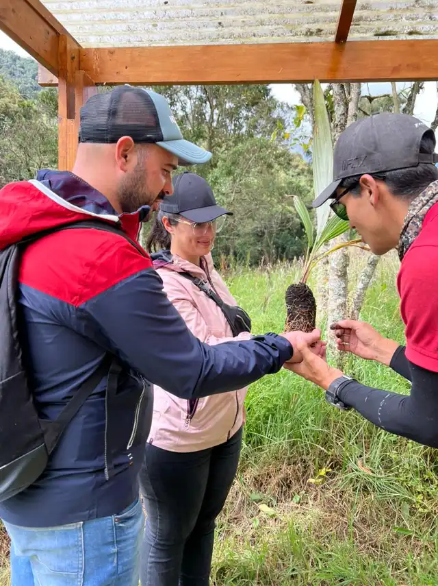 Tour Valle de Cocora y Salento · foto 2