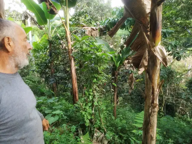 Tour experiencial Campesino por un día · foto 7