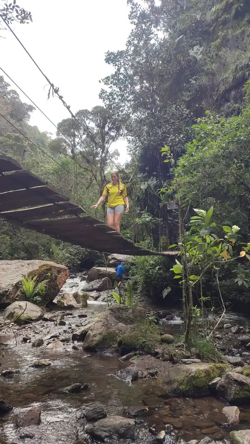 Trek Valle de Cocora · Acaime, casa de los colibríes · foto 5