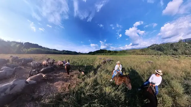 Cabalgata río y montaña · foto 6