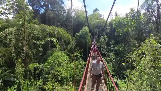 Jardín Botánico y Mariposario del Quindío · foto 2