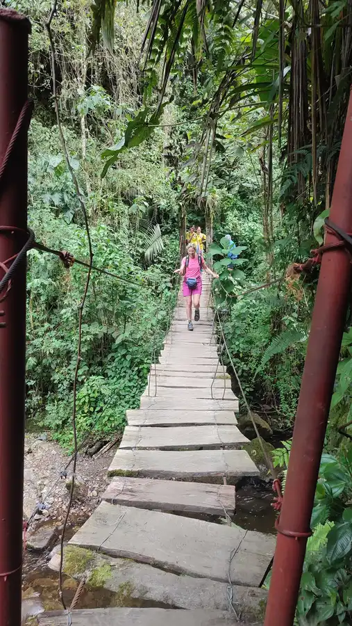 Trek Valle de Cocora · Acaime, casa de los colibríes · foto 6
