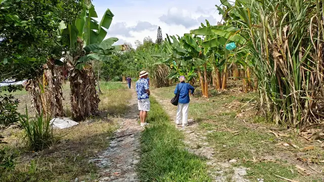 Tour de Caña y trapiche · foto 4