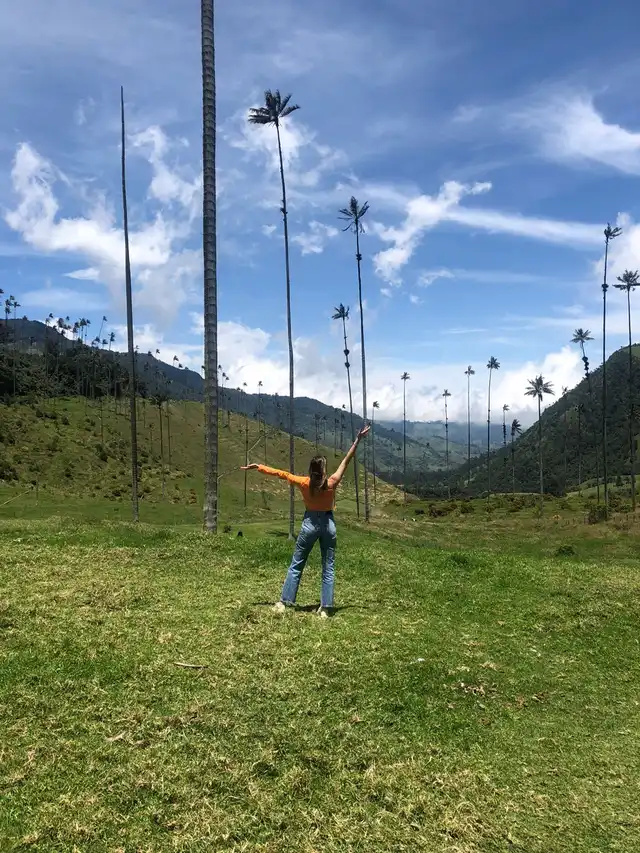 Tour Valle de Cocora y Salento · foto 3