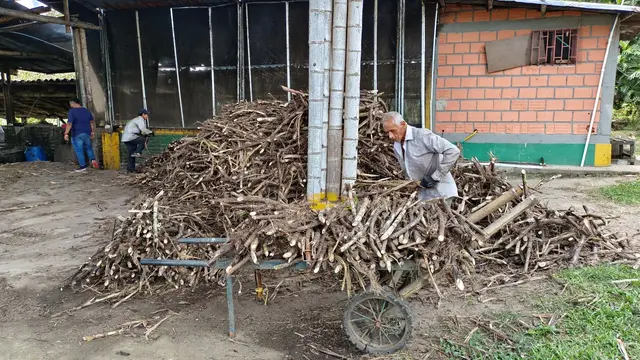 Tour de Caña y trapiche · foto 5