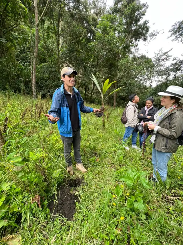 Tour Valle de Cocora y Salento · foto 6
