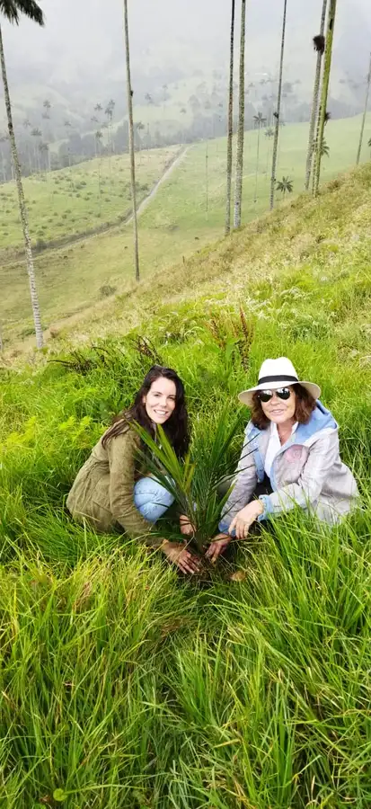 Full day Filandia, Valle de Cocora y Salento · foto 5