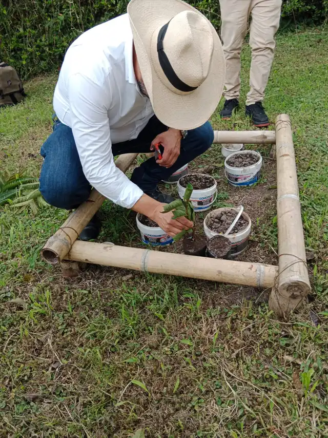 Tour de las Frutas (piña, guayaba o cítricos) · foto 2