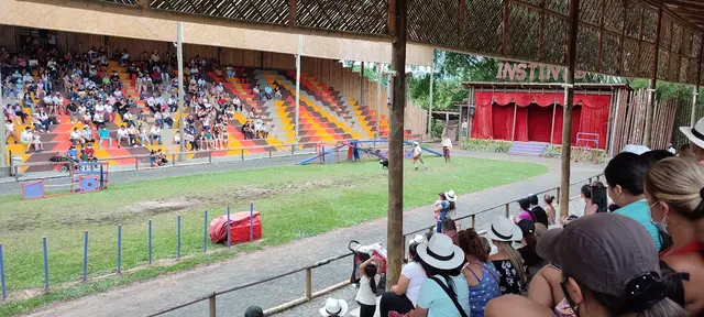 PANACA · foto 7