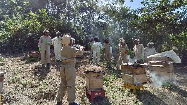 Tour de las Abejas · foto 3