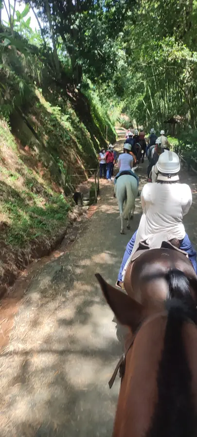 PANACA · foto 4