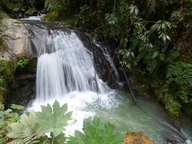 Aguas termales: Santa Rosa, San Vicente o El Otoño · foto 2