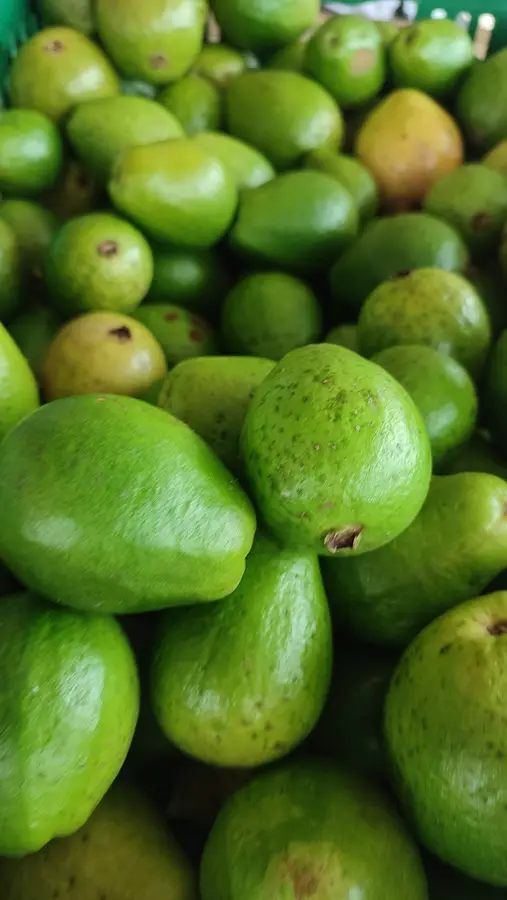 Tour de las Frutas (piña, guayaba o cítricos) · foto 4