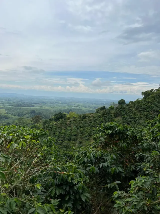 Visita a finca cafetera · foto 2