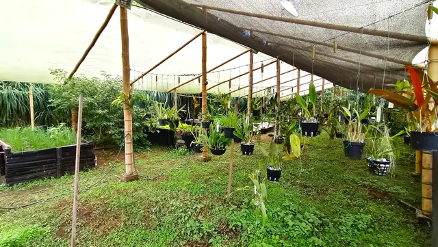 Un mundo de orquídeas · foto 4