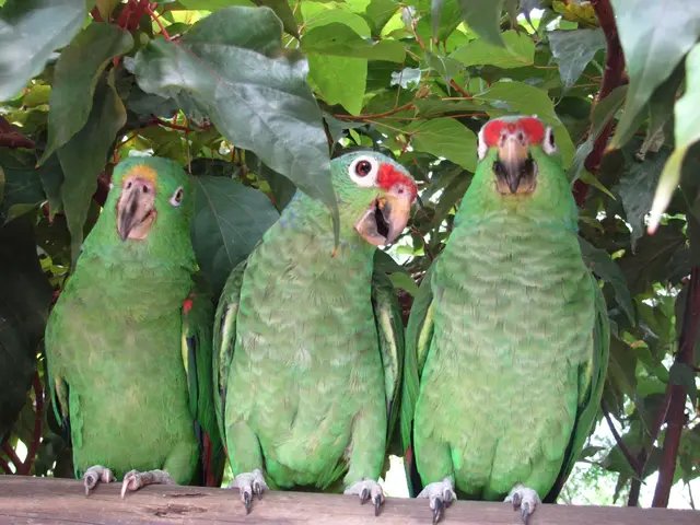 Bioparque Ukumarí · foto 2
