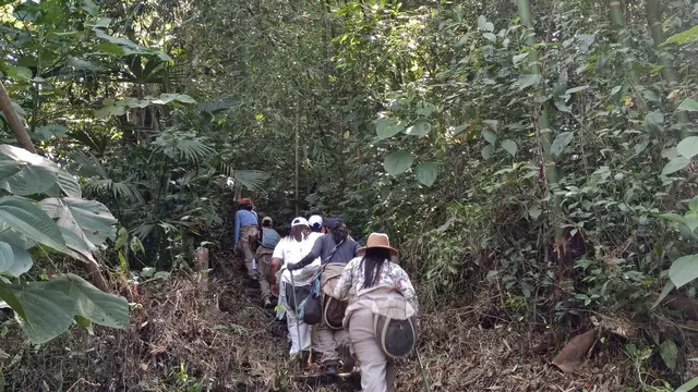 Tour de las Abejas · foto 5