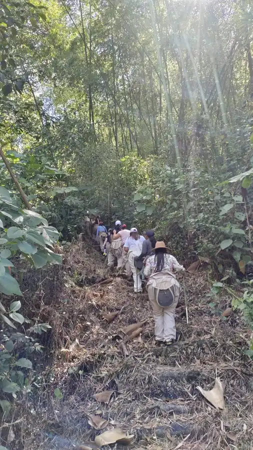 Tour de las Abejas · foto 7