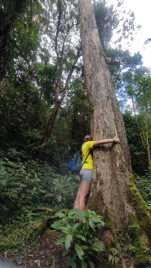 Trek Valle de Cocora · Acaime, casa de los colibríes · foto 7