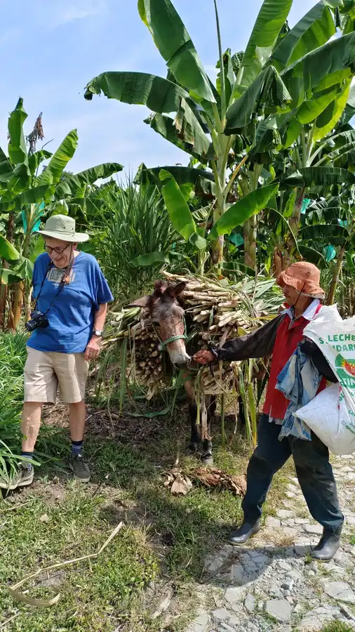 Tour de Caña y trapiche · foto 2